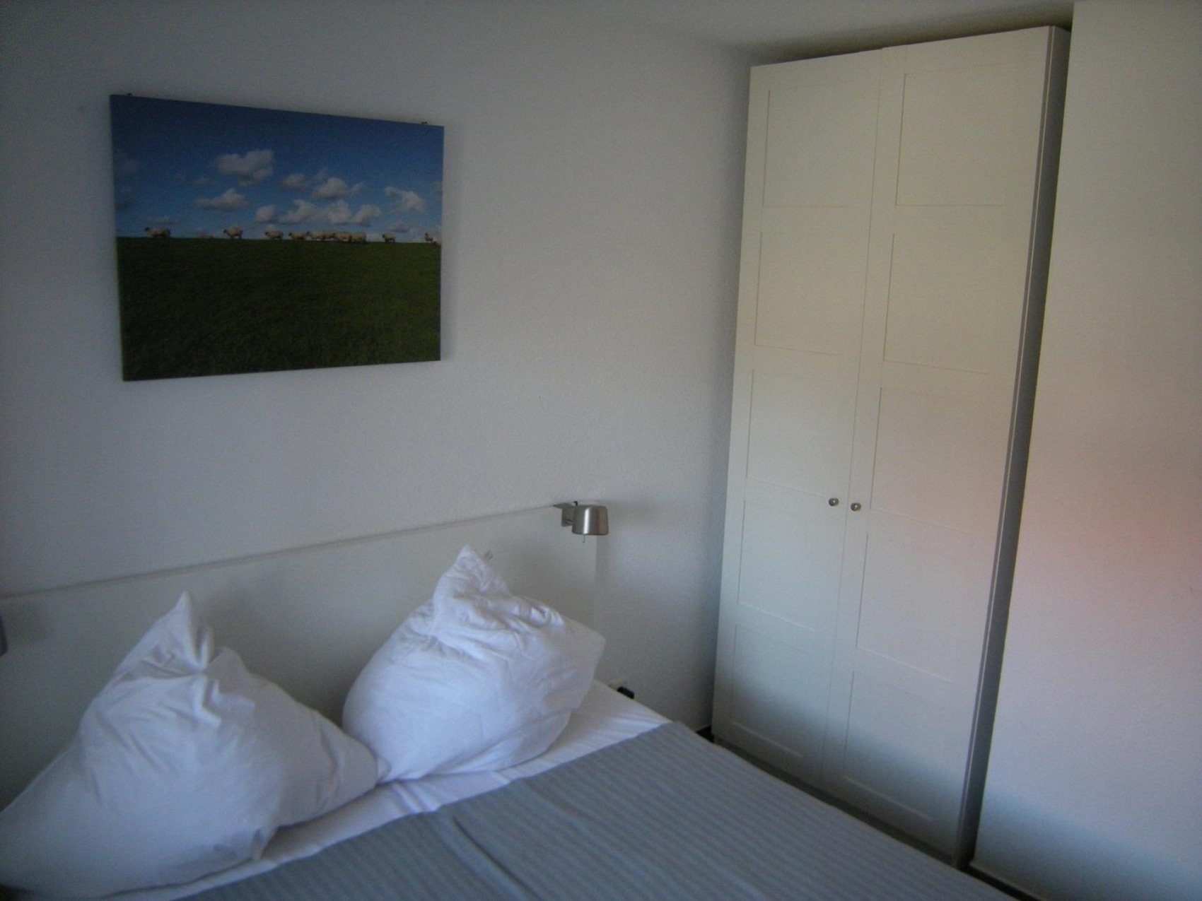 foto1