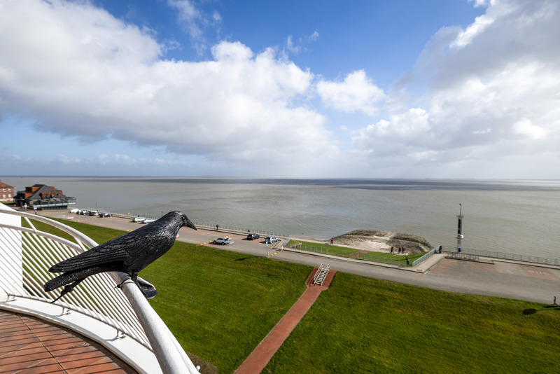 Foto 11 Ferienwohnung Ostfriesland Wilhelmshaven Exklusive Ferienwohnung am Südstrand mit Panoramabalkon & Meerblick | Wohnung 92 (Objekt 60561) buchen