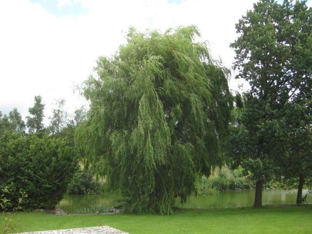Ferienwohnung "Am Teich" in Blumenthal -