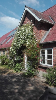 Foto 2 Ferienhaus Ostfriesland Nordfriesland Birkenhof (Objekt 59764) suchen