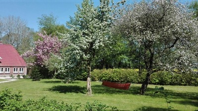 Foto 22 Ferienhaus Ostfriesland Nordfriesland Birkenhof (Objekt 59764) suchen