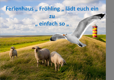 Foto 18 Ferienwohnung Ostfriesland Dornum & Umgebung Komfort 4 Sterne Wohnung 