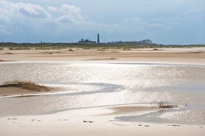 Foto 11 Ferienwohnung Ostfriesland Borkum Haus Heide 