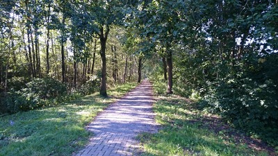 Foto 27 Ferienwohnung Ostfriesland Leer & Umgebung Ferienwohnung Am See 1 (Objekt 1359) suchen