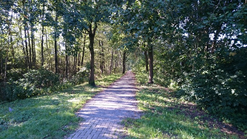 Foto 27 Ferienwohnung Ostfriesland Leer & Umgebung Ferienwohnung Am See 1 (Objekt 1359) suchen