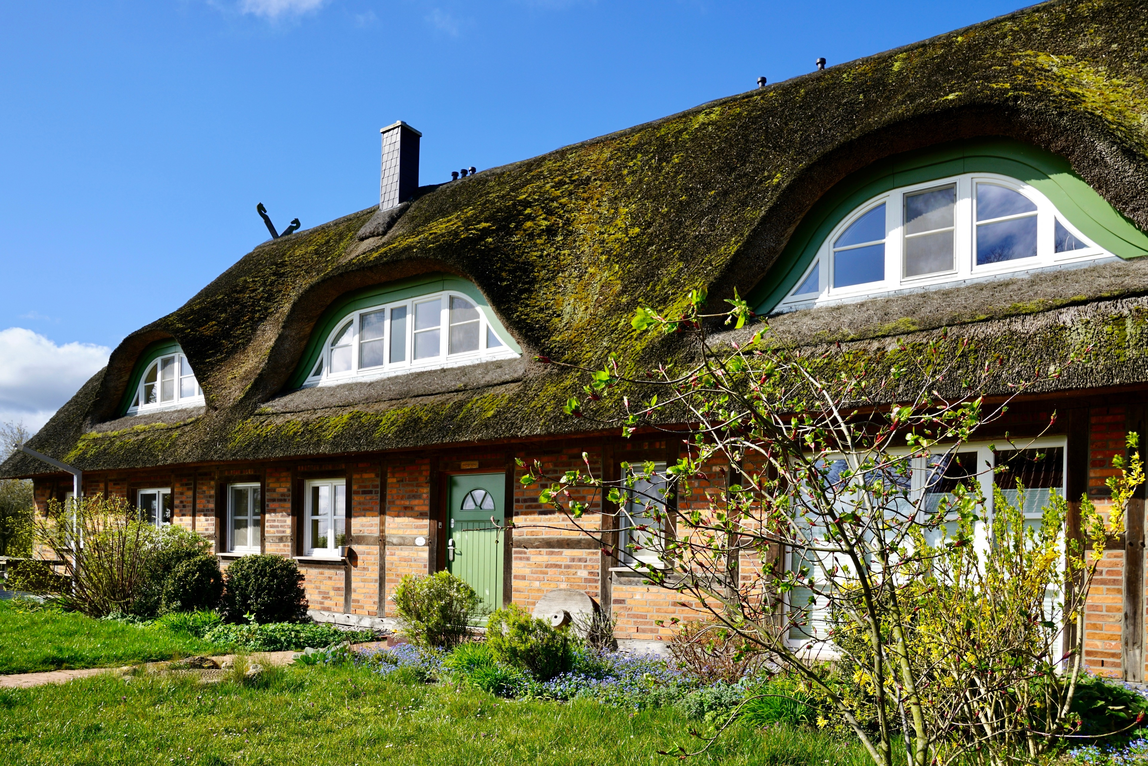 Reethaus Mertinat For Ten Ferienhaus auf Poel