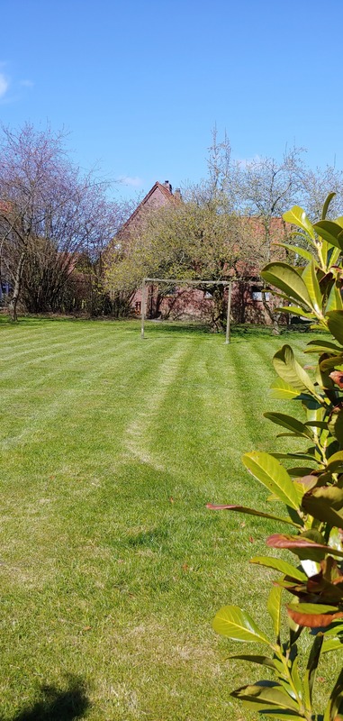 Foto 20 Ferienhaus Ostfriesland Friesland Friesisches Siedlerhaus (Objekt 85264) Reise