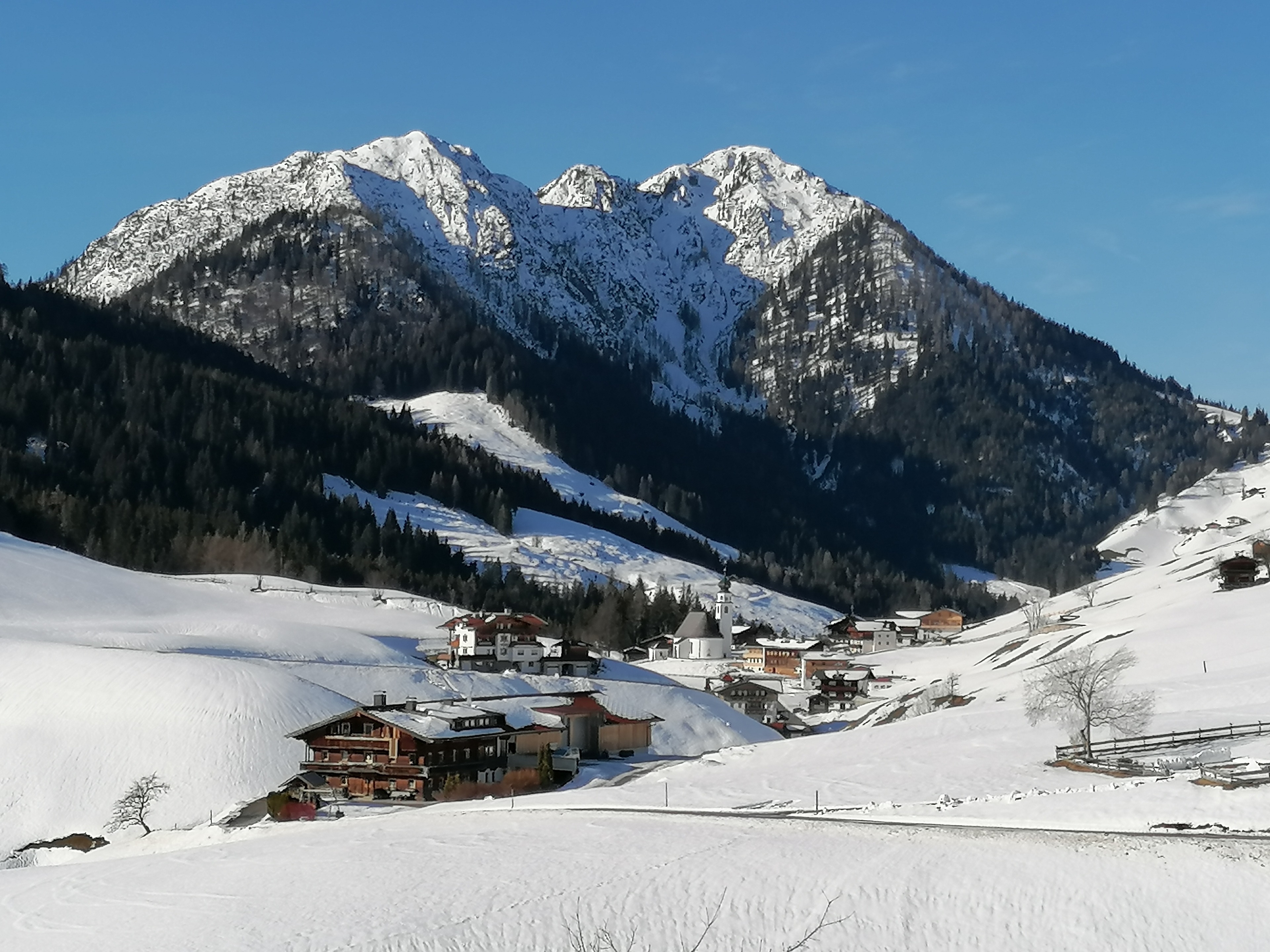 Schoners Einfanghof  by FeWo-Plan(WILD005) — Foto 13