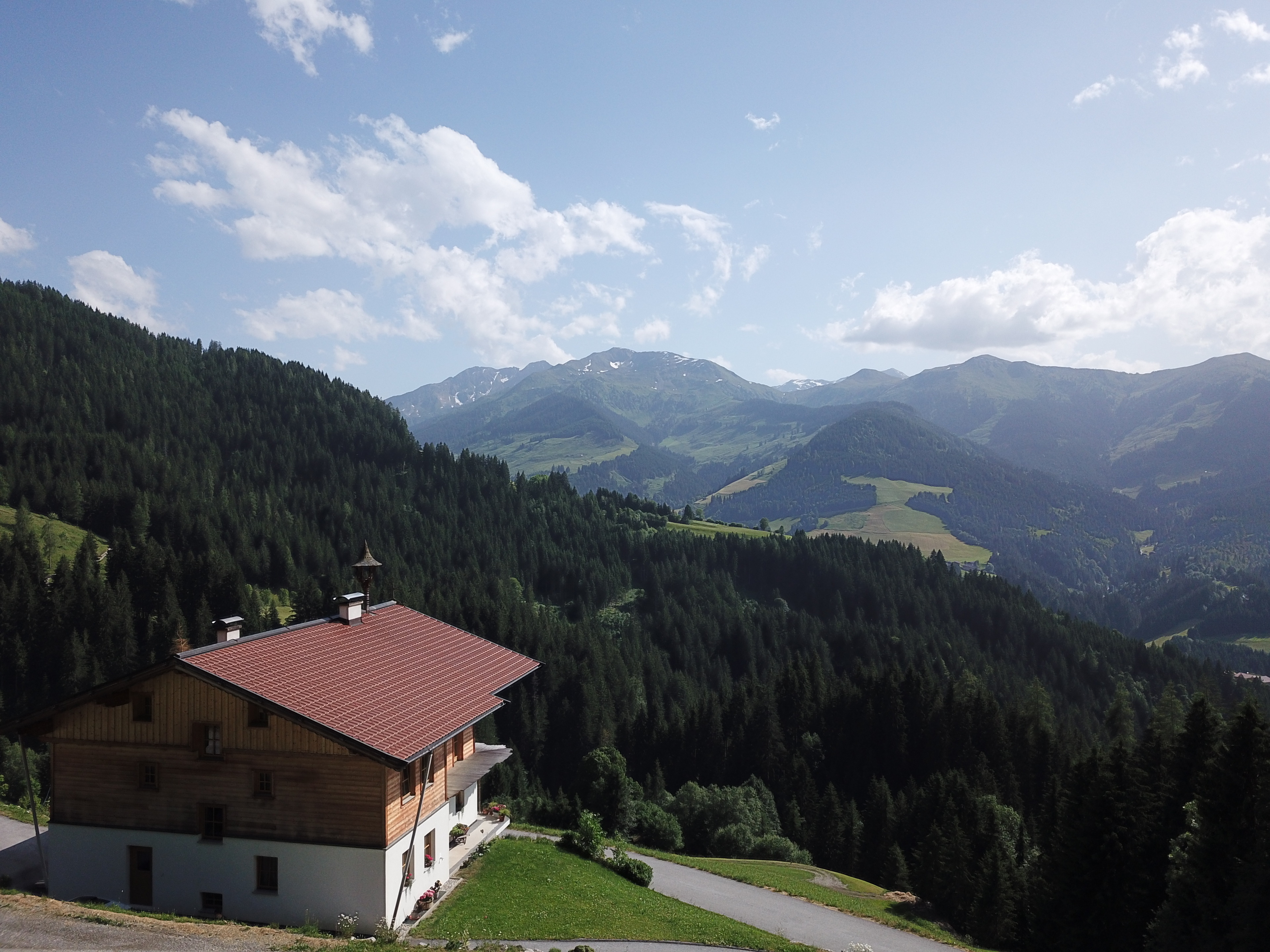Ferienwohnung in Panorama Alleinlage Kitzbüheler Alpen(WILD63) by FeWo-Plan – Bild 4
