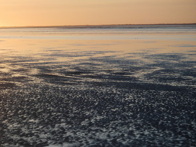 Foto 13 Ferienhaus Ostfriesland Neuharlingersiel & Umgebung Möwennest (Objekt 783) Nordsee