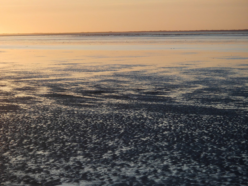 Foto 13 Ferienhaus Ostfriesland Neuharlingersiel & Umgebung Möwennest (Objekt 783) Nordsee