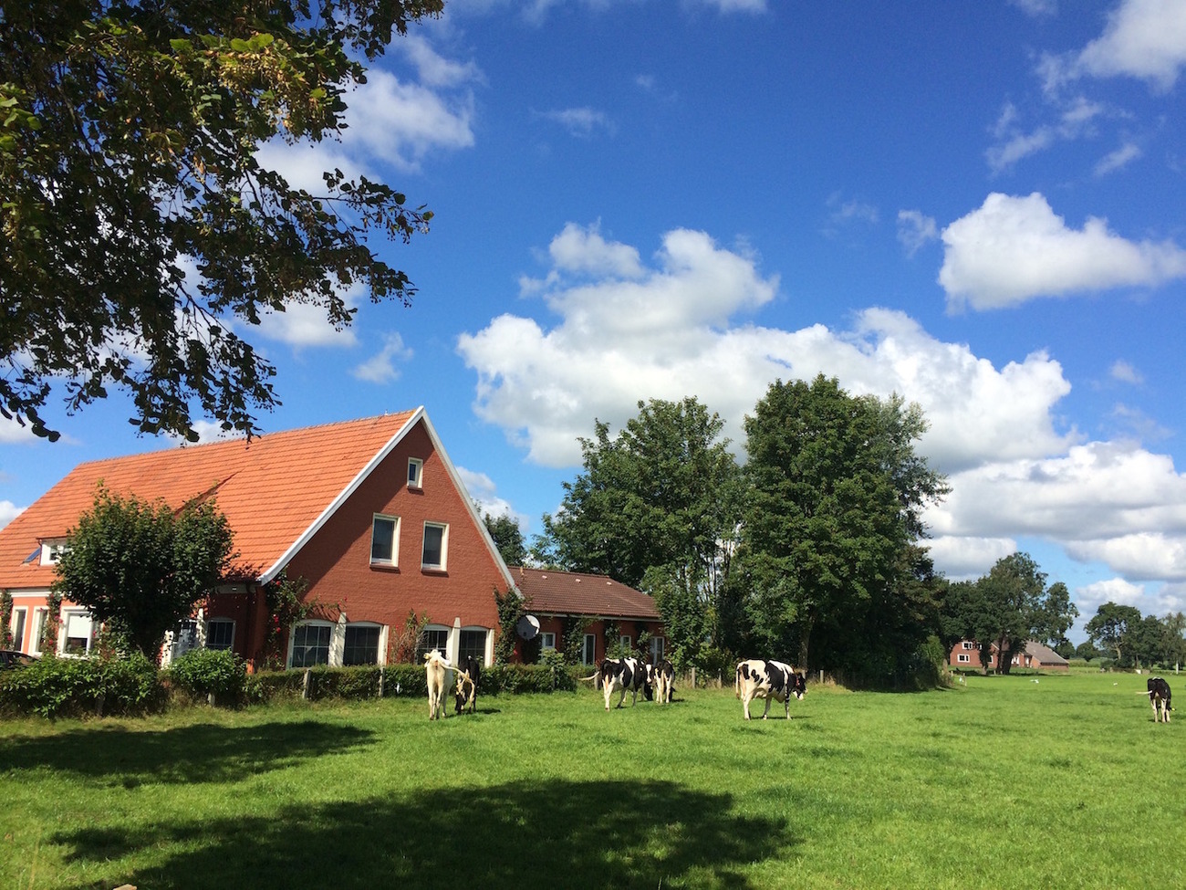 Tolles Ferienhaus für 18 Personen in Ostfries Ferienhaus in Niedersachsen