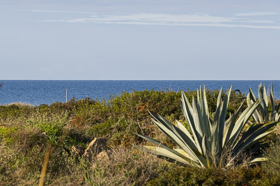 Primavera Ferienwohnung in Spanien