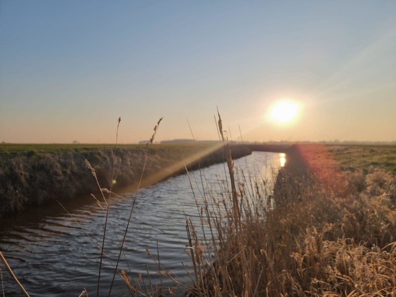 Foto 18 Ferienwohnung Ostfriesland Dornum & Umgebung Ferienwohnung Westwind (Objekt 91829) Nordsee