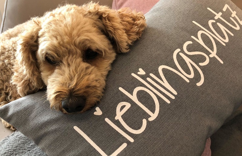 Foto 18 Ferienhaus Ostfriesland Norddeich & Umgebung Ferienhaus Hilgenhuus (Objekt 100533) Nordsee