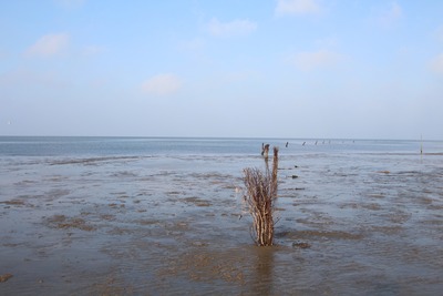 Foto 22 Ferienwohnung Ostfriesland Zwischen Elbe und Weser Quartier Hohe Geest 18 - Strandzeit (Objekt 20335) suchen