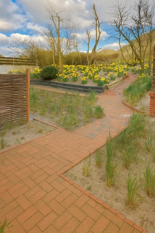 Foto 13 Ferienwohnung Ostfriesland Juist Juister Zauber  Ferienwohnung Sonnendüne (Objekt 78708) Nordsee