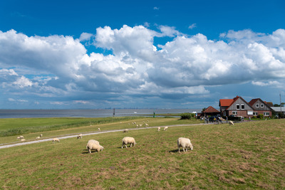 Foto 27 Ferienwohnung Ostfriesland Butjadingen Sielhuus 4 - Butjadingen (Objekt 21399) suchen