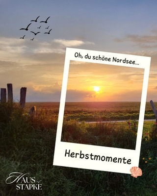 Foto 2 Ferienwohnung Ostfriesland Friesland KOJE 2 (Objekt 1882) suchen