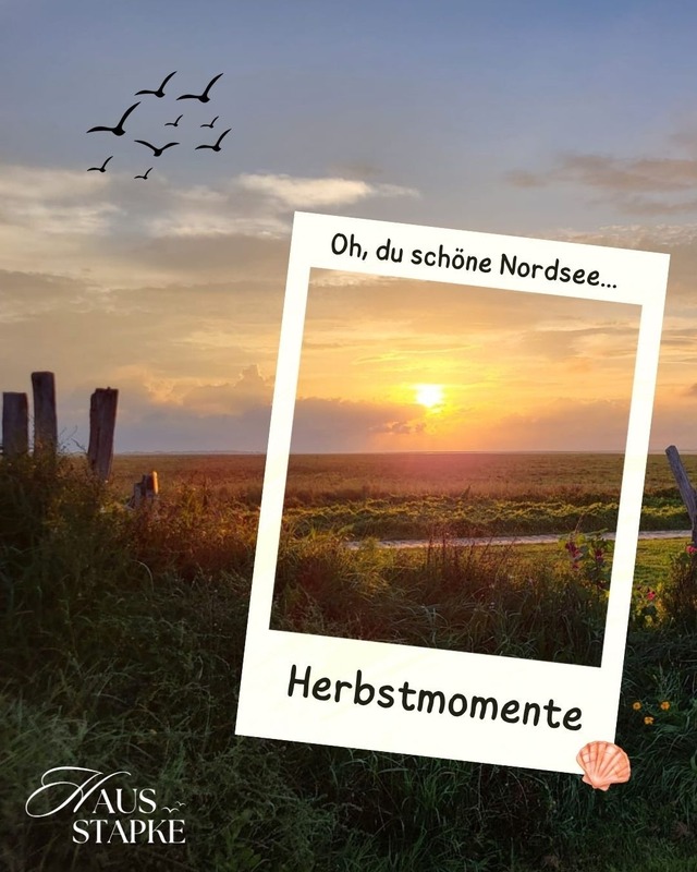 Foto 2 Ferienwohnung Ostfriesland Friesland KOJE 2 (Objekt 1882) suchen