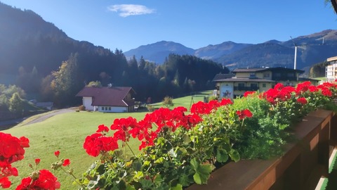 Ferienwohnung am Ponyhof (WILD328) 2