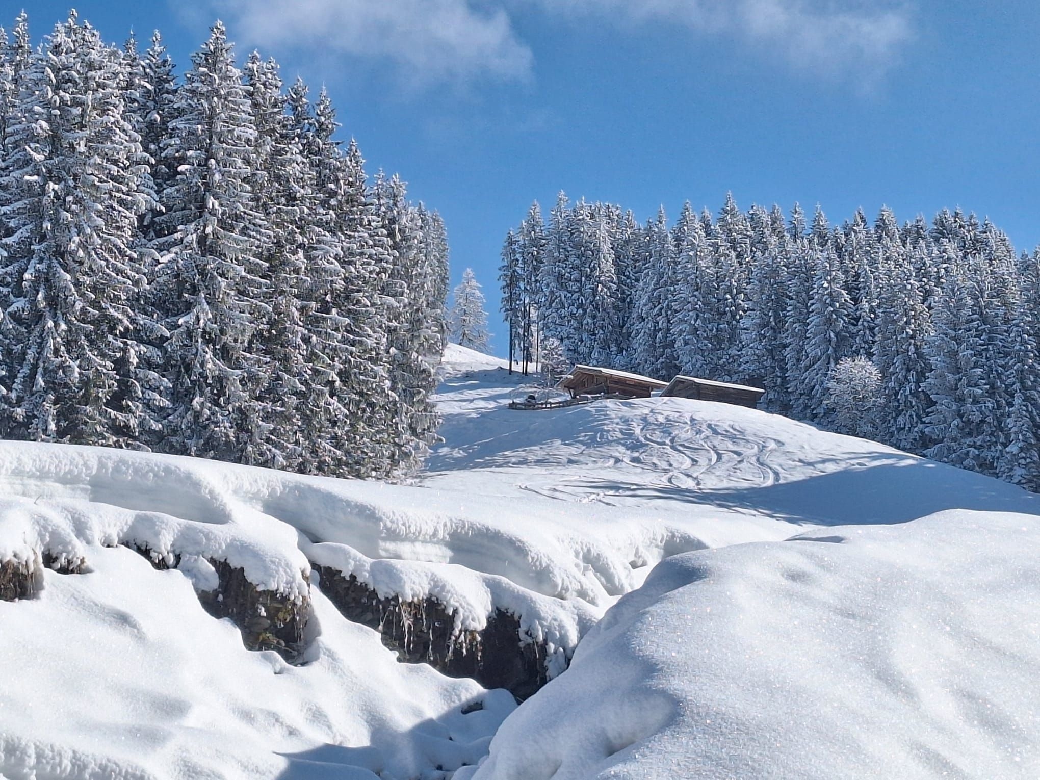 Chalet zum Feldalphorn (Prädasten WILD605) — Foto 22