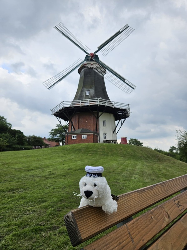 Foto 52 Ferienhaus Ostfriesland Krummhörn & Umgebung Grachtendomizil Greetsiel (Objekt 21556) suchen