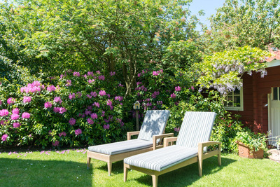 Foto 13 Ferienwohnung Ostfriesland Spiekeroog *** Studio-Inselrose *** (Objekt 92361) Nordsee