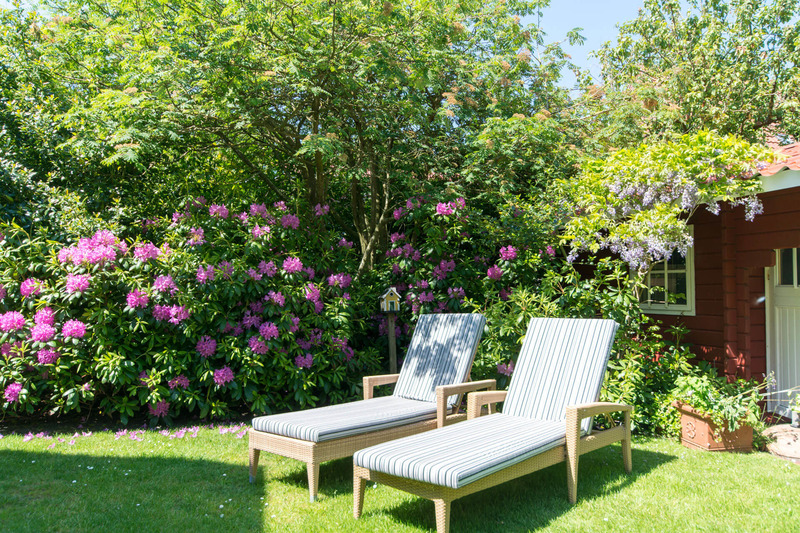 Foto 13 Ferienwohnung Ostfriesland Spiekeroog *** Studio-Inselrose *** (Objekt 92361) Nordsee