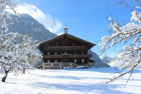 Ferienwohnung Alpbachtal Nähe Ski & Wandergebiet by FeWo-PLAN (REIT100 ) 2
