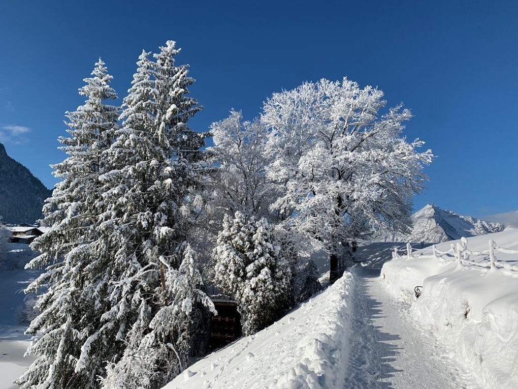 Ferienwohnung Alpbachtal Nähe Ski & Wandergebiet by FeWo-PLAN (REIT100 ) — Foto 20