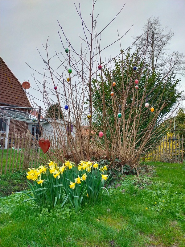 Foto 13 Ferienwohnung Ostfriesland Butjadingen Nordapart Offizier (Objekt 28995) Nordsee