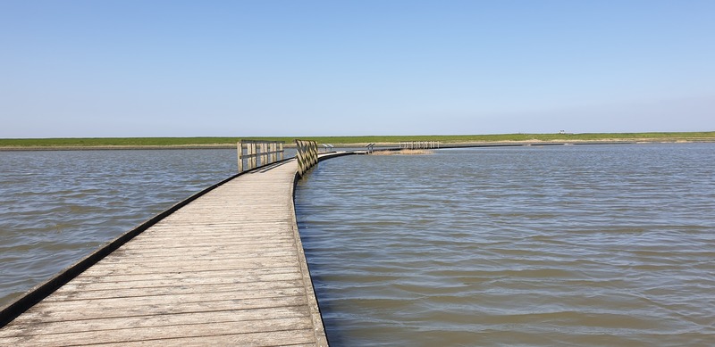 Foto 18 Ferienhaus Ostfriesland Butjadingen Ferienhaus Küstenkind (Objekt 34288) Nordsee