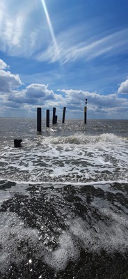 Foto 18 Ferienwohnung Ostfriesland Butjadingen Apart Lachmöwe (Objekt 35481) Nordsee