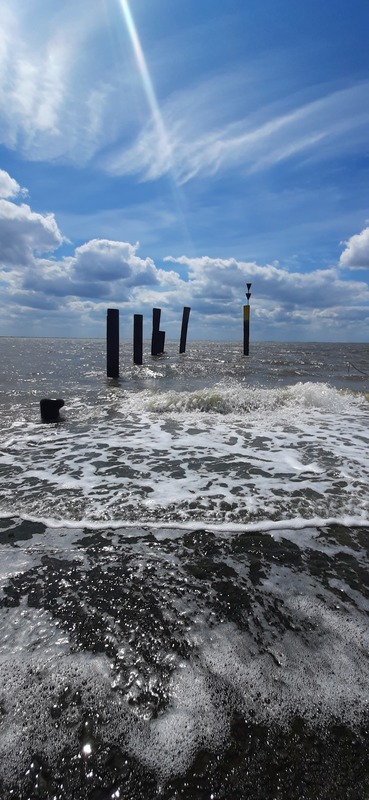 Foto 18 Ferienwohnung Ostfriesland Butjadingen Apart Lachmöwe (Objekt 35481) Nordsee