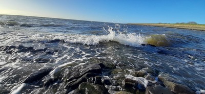 Foto 20 Ferienwohnung Ostfriesland Butjadingen Apart Lachmöwe (Objekt 35481) Reise