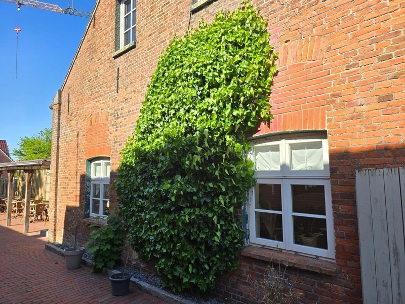 Foto 18 Ferienwohnung Ostfriesland Norddeich & Umgebung Appartements Zur Bauerndiele 