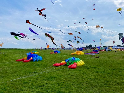 Foto 22 Ferienhaus Ostfriesland Friesland Ferienhaus Fenke (Objekt 59044) suchen