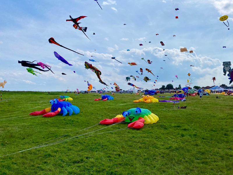 Foto 22 Ferienhaus Ostfriesland Friesland Ferienhaus Fenke (Objekt 59044) suchen