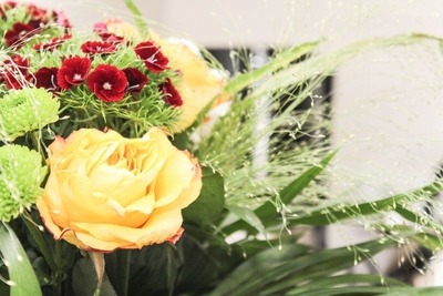 Foto 9 Ferienwohnung Ostfriesland Norddeich & Umgebung Dat Leenken (Objekt 88138) Urlaub