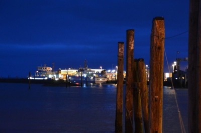 Foto 11 Ferienwohnung Ostfriesland Norddeich & Umgebung Ferienwohnung Albatros (Objekt 88144) buchen