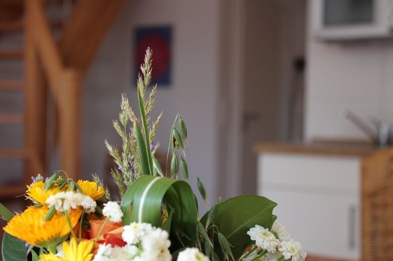 Foto 22 Ferienwohnung Ostfriesland Norddeich & Umgebung Horizont (Objekt 88264) suchen