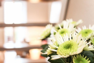 Foto 11 Ferienwohnung Ostfriesland Norddeich & Umgebung Norddeich  Stern (Objekt 88154) buchen