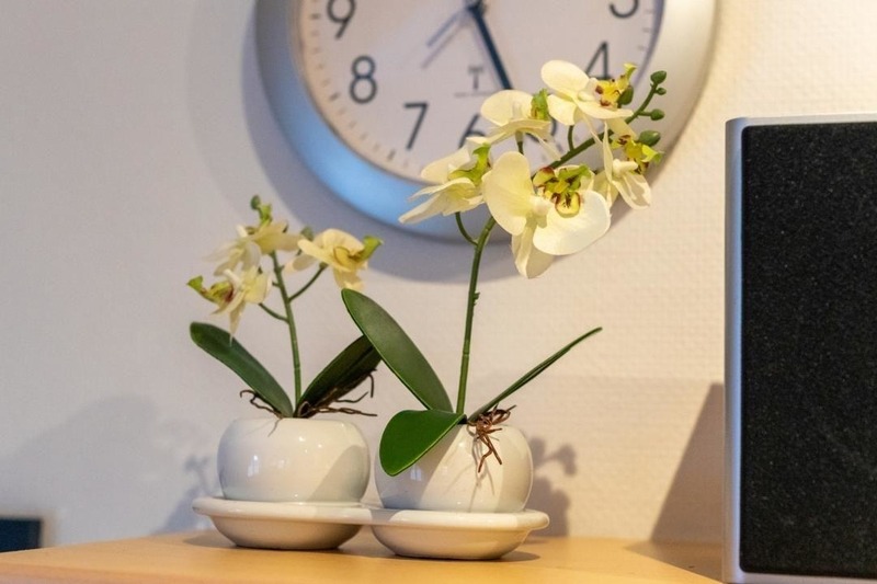 Foto 22 Ferienwohnung Ostfriesland Norddeich & Umgebung Ferienwohnung Wattlooper (Objekt 67731) suchen