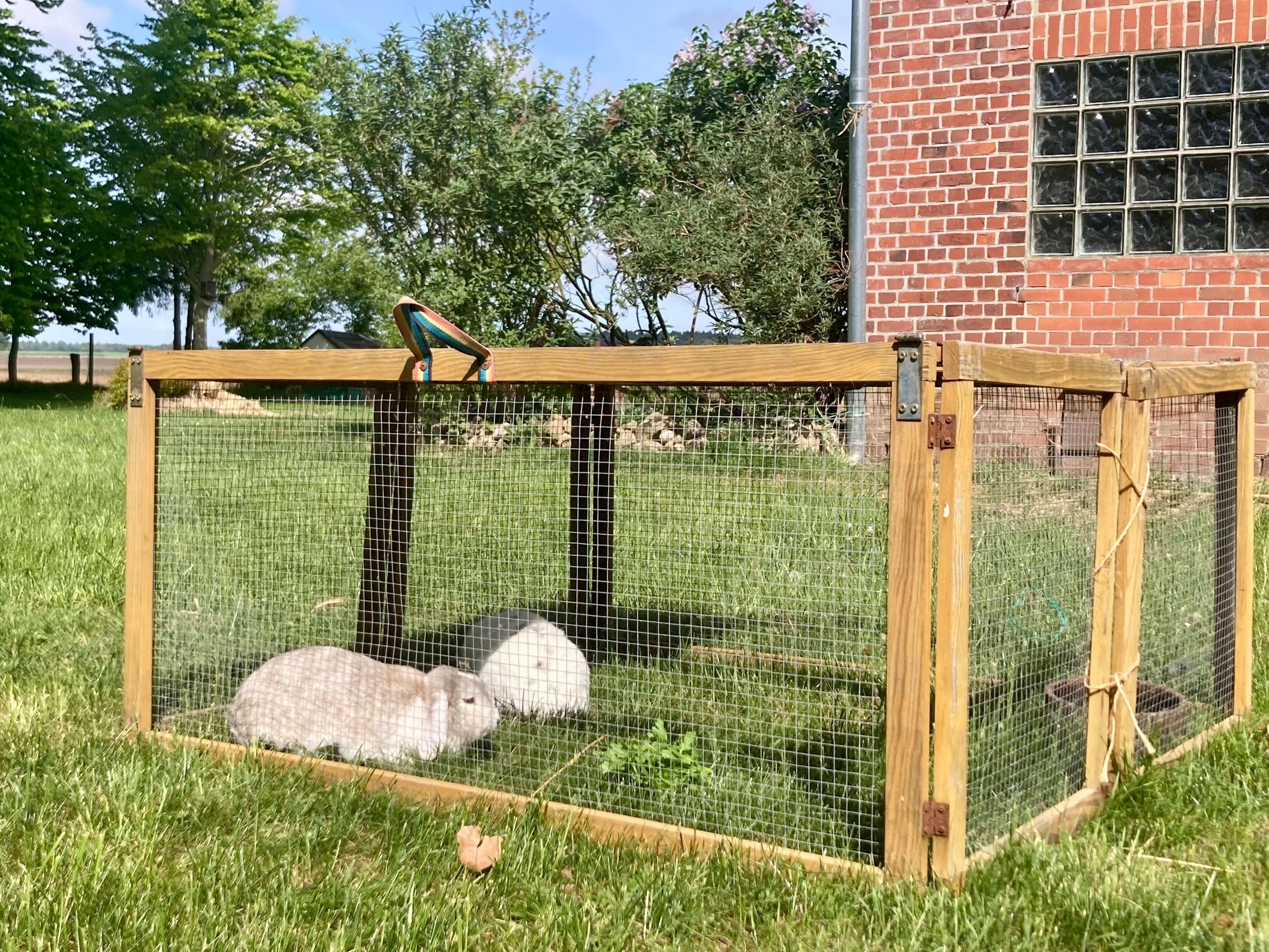 Fewo WILDGANS by fewo-plan (WING140) Nähe Naturpark Wingst — Foto 36