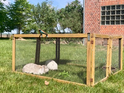 Foto 31 Ferienwohnung Ostfriesland Zwischen Elbe und Weser Fewo KRANICH by fewo-plan (WING141) Nähe Naturpark Wingst (Objekt 67755) buchen