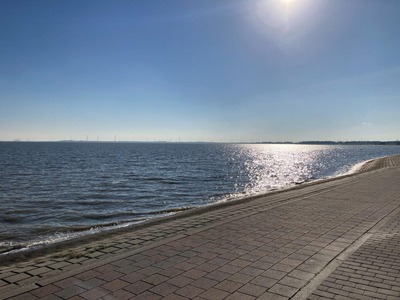 Foto 9 Ferienwohnung Ostfriesland Friesland Wohnung 44 (Objekt 95688) Urlaub