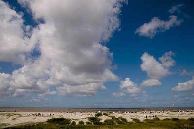 Foto 18 Ferienwohnung Ostfriesland Norddeich & Umgebung Bunte Kuh (Objekt 88102) Nordsee