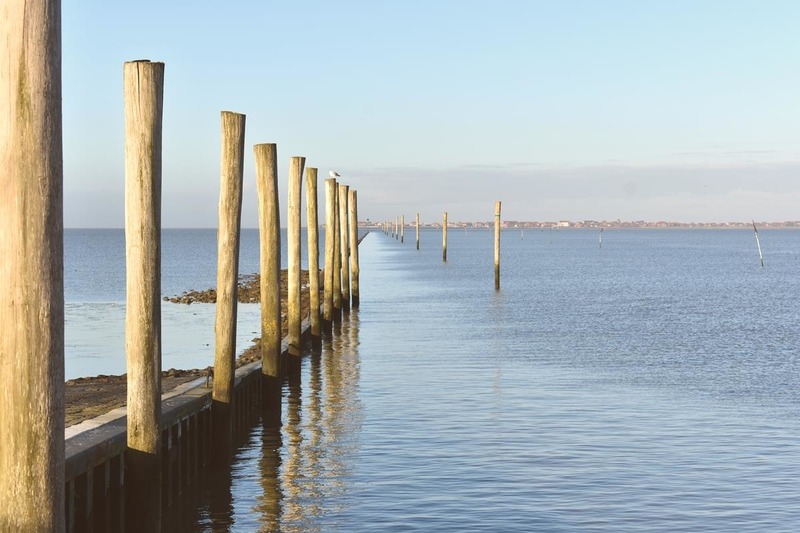 Foto 31 Ferienwohnung Ostfriesland Dornum & Umgebung Ferienwohnung Shih Tzu (Objekt 85248) buchen