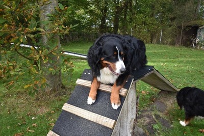 Foto 9 Ferienwohnung Ostfriesland Dornum & Umgebung Ferienwohnung Spitz (Objekt 85223) Urlaub